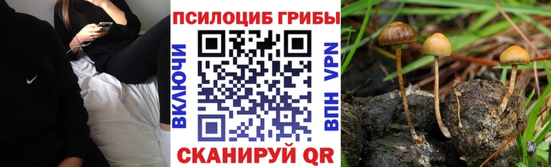 как найти закладки  KRAKEN онион  Галлюциногенные грибы Cubensis  Ижевск 